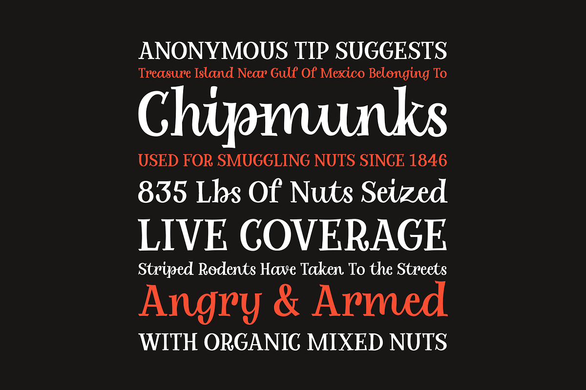 Alrighty Then | A Novelty Serif, a Serif Font by Ayca Atalay (Photo 7 of 11)