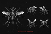 10 Bundle Dark Art Mosquito Insect, an Illustration by Morspective (Thumbnail 3 of 7)