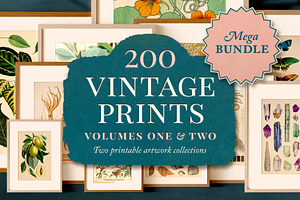 BUNDLE: 200 Vintage Art Prints