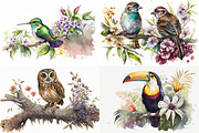 Feathered Friends Collection, an Animal Illustration by artsy-fartsy (Thumbnail 2 of 6)