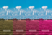Infrared III, a Preset Add-On by colorituals (Thumbnail 2 of 8)