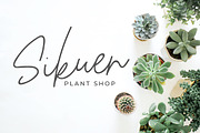 Raffithus Stylish Signature Font, a Script Font by Fikry Alfatih (Thumbnail 5 of 10)