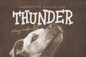 Thunder Handwritten Font