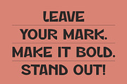 ST Markvale – Bold Display Family, a Sans Serif Font by Type it Easy (Thumbnail 13 of 15)