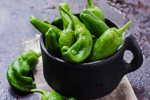 Raw green peppers pimientos de padron traditional spanish tapas featuring