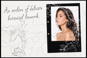 Bracquemond Flower Overlays, a Texture Graphic by Lilithcollageart (Thumbnail 4 of 10)