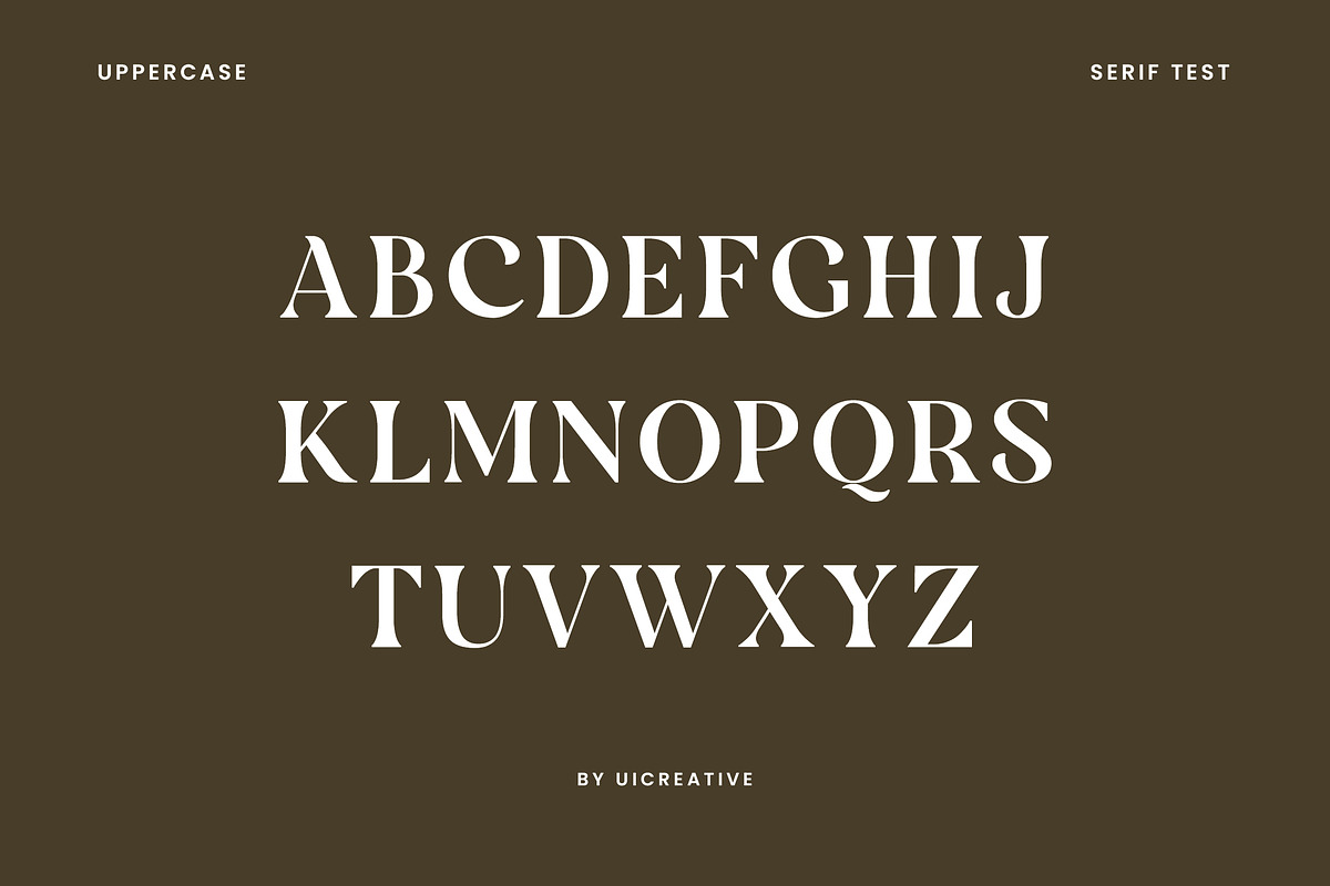 Borniarte Elegant Serif Font, a Serif Font by UICreative (Photo 12 of 13)