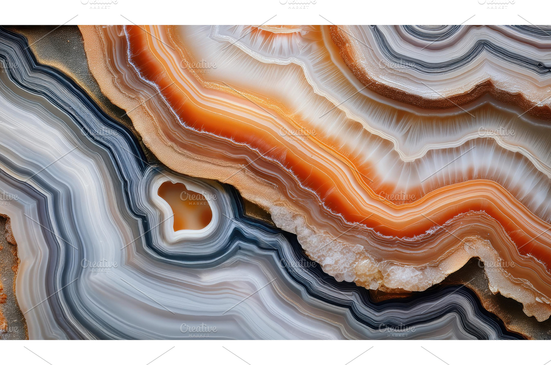 Close-up of vibrant orange and white, a Background Photo by Igor Tichonow
