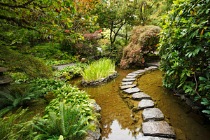 Traditional japanese garden stock photo containing stream and path