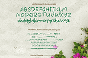 Seashell Paradise, a Handwritten Font by Letterhanna Studio (Thumbnail 13 of 15)