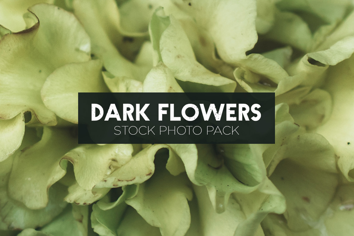 Dark Flowers - Stock Photos, a Nature Photo by outlinez (Photo 7 of 8)