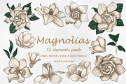 13 Magnolia PNG Clipart – Gouache, a Decorative Illustration by Ink by Stefi (Thumbnail 1 of 4)