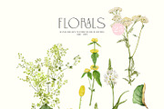 JUNE Watercolor Summer Collection, a Decorative Illustration by Kaleriia (Thumbnail 4 of 15)