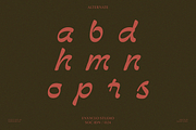 NCL Bendstag — Elegant Script, a Script Font by Enxyclo Studio (Thumbnail 13 of 16)