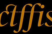 Callas, a Serif Font by Hoftype (Thumbnail 11 of 14)