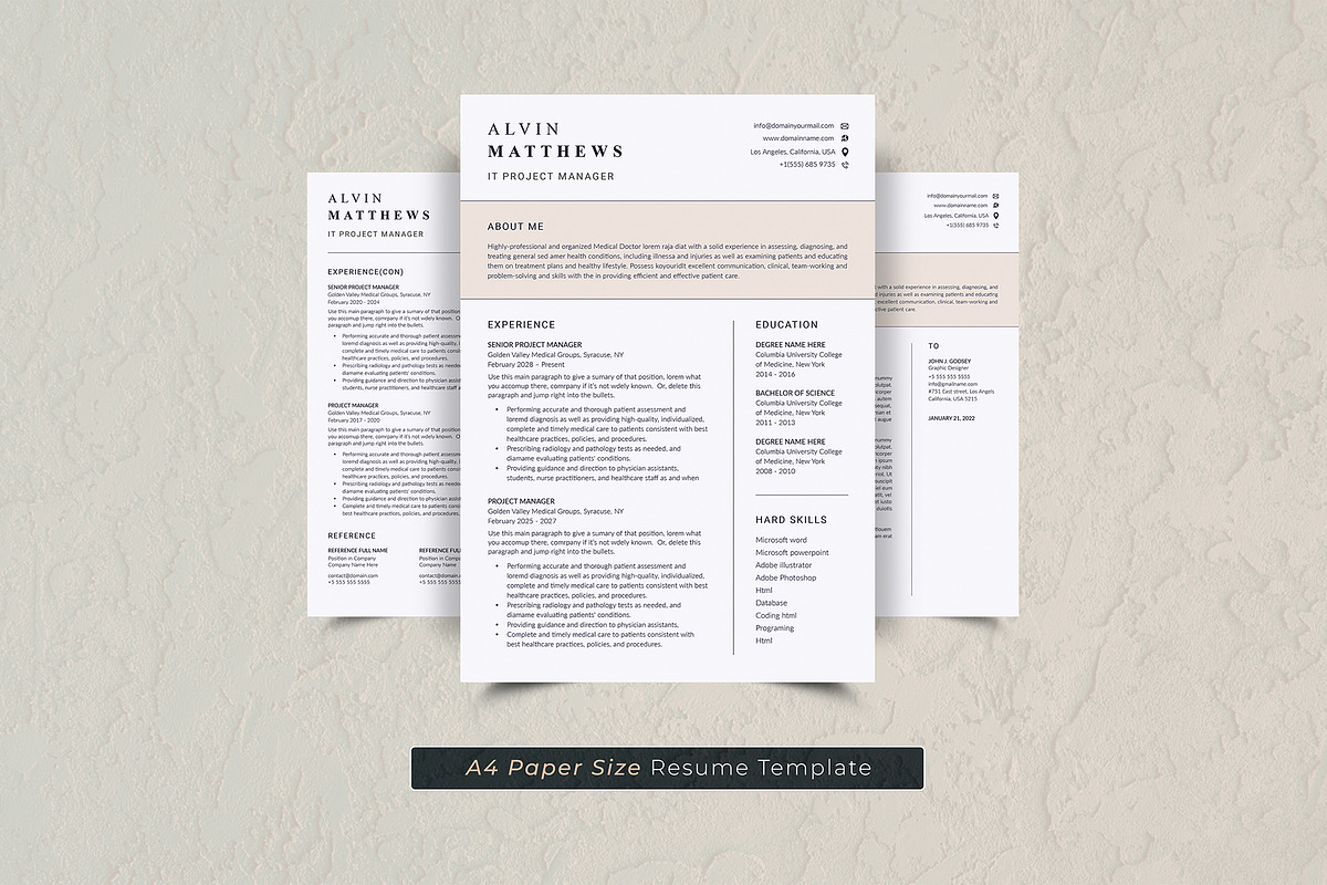Canva IT Project Manager preview 4