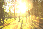 Bokeh Light 10 Transitions 1 AEP, a Branding & Logo Template by Josep Motion (Thumbnail 1 of 2)