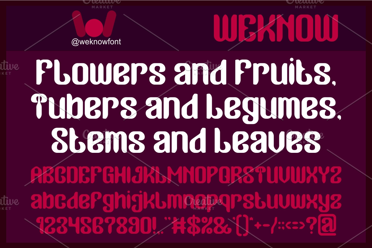 Garden Oracle Font, a Sans Serif Font by weknow (Photo 3 of 8)