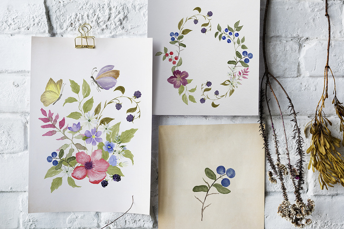 Wildflower & Butterfly Collection, a Decorative Illustration by Nadia Semyroz (Photo 4 of 12)