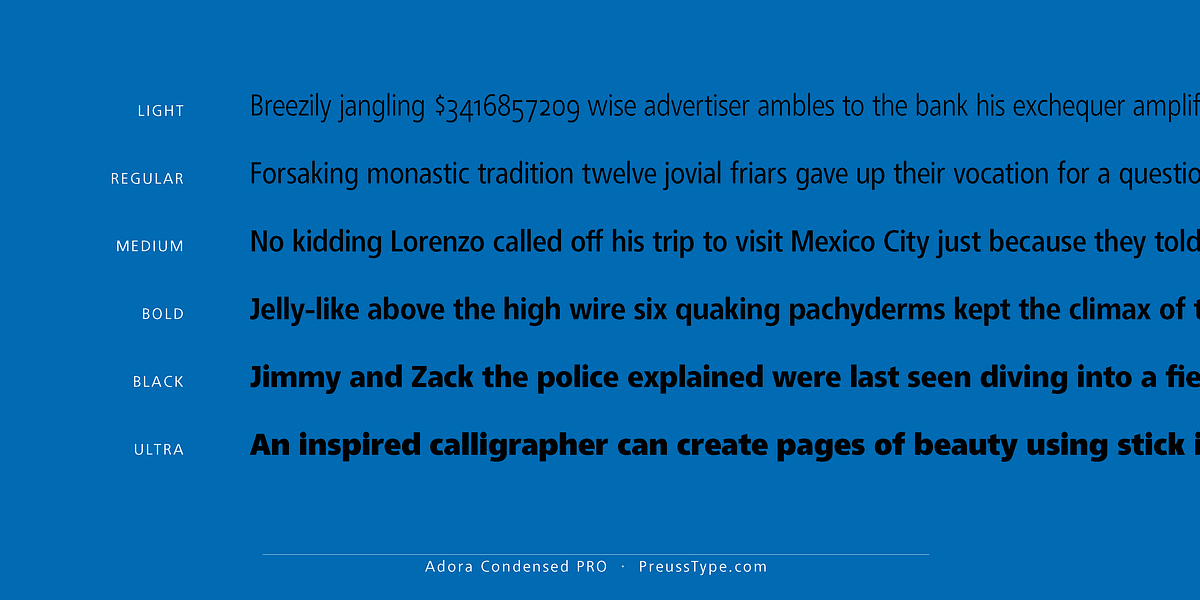 Adora PRO, a Sans Serif Font by preussTYPE (Photo 25 of 40)
