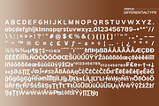 Pripun - San Serif Family, a Sans Serif Font by Differentialtype (Thumbnail 10 of 11)