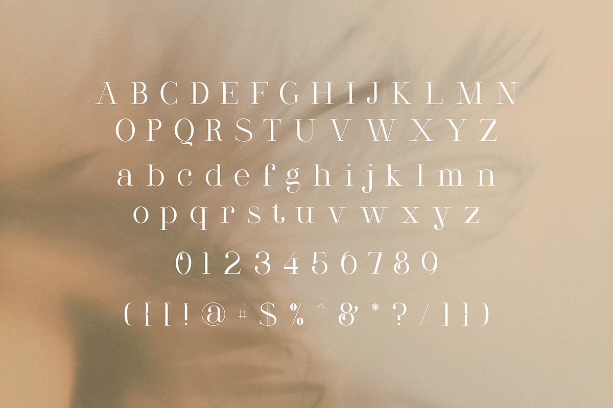 Quickening A Modern Luxury Serif, a Serif Font by K gold studio (Photo 2 of 7)