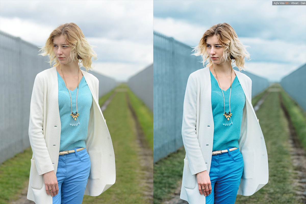 Film Emulation Presets for Lr & Ps, an Action Add-On by Personal Collection (Photo 10 of 13)