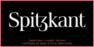 Spitzkant