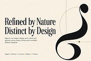 Bagiora – Elegant Display Serif Font, a Serif Font by Wow Magic (Thumbnail 3 of 6)