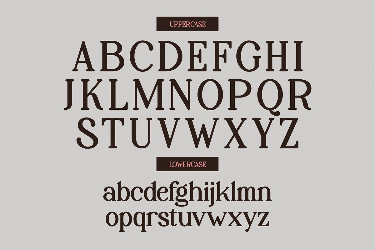 Palenk Radney | Modern Retro Serif, a Serif Font by Denustudios (Photo 10 of 13)