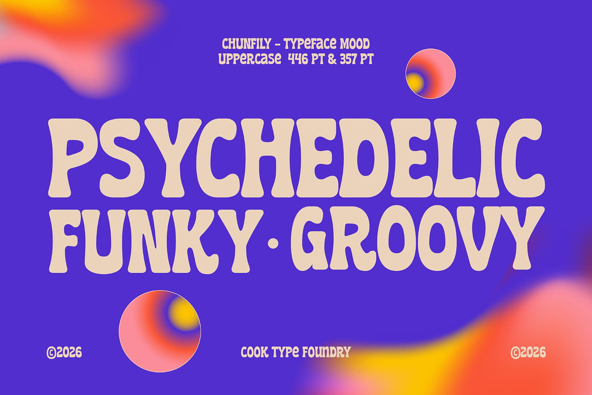 Chunfily, a Sans Serif Font by graphicook (Photo 2 of 10)