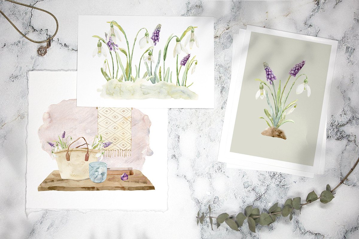 Spring Snowdrop and Muscari Clip Art, an Illustration by Julia M. Watercolor (Photo 5 of 12)