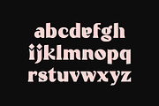 Unmatched - Stylish Display Font, a Sans Serif Font by HipFonts (Thumbnail 6 of 9)