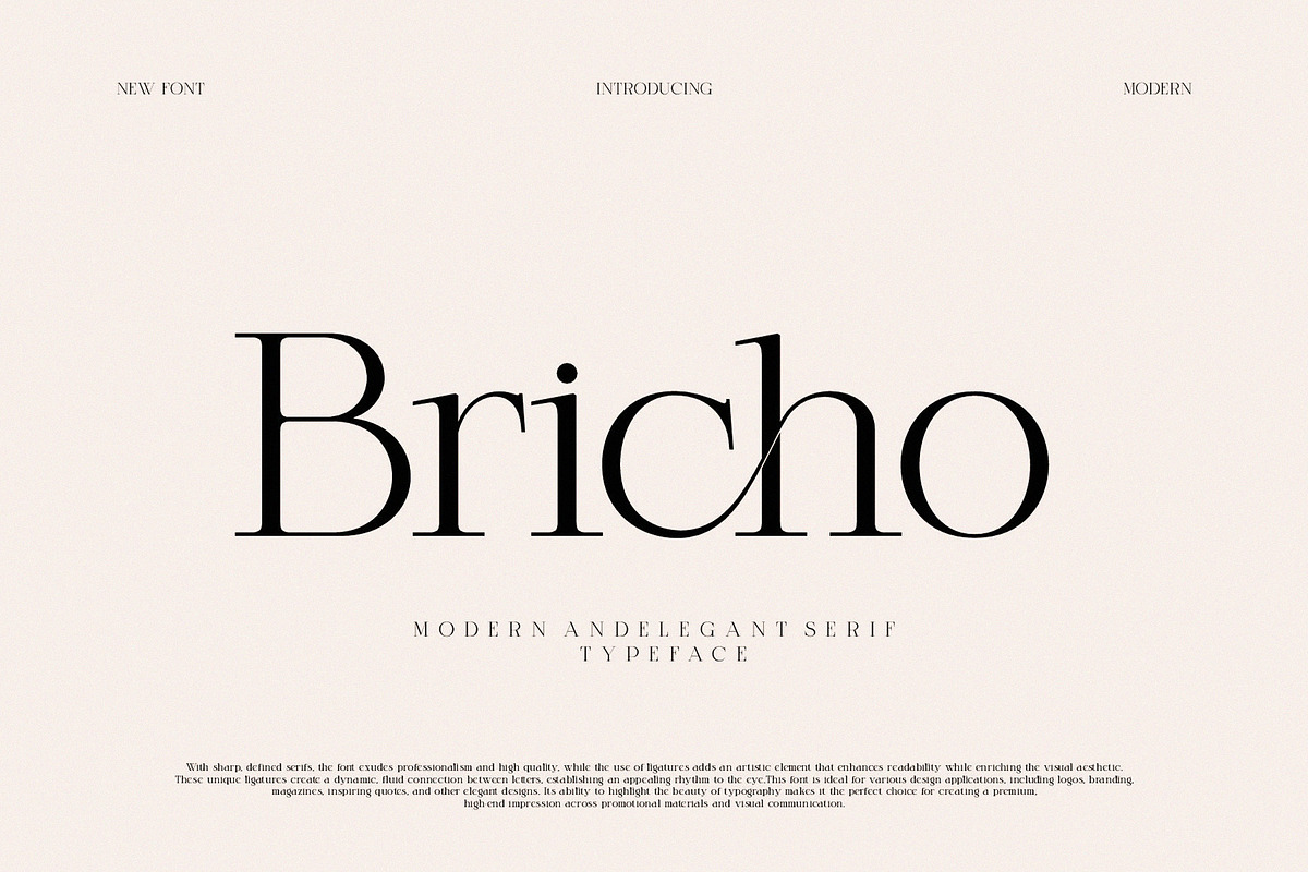 Bricho Modern Elegant Serif, a Serif Font by Alfinart (Photo 1 of 8)