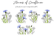 Flowers of Cornflower, a Decorative Illustration by cat_arch_angel (Thumbnail 5 of 7)