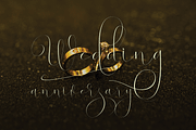 Virgita script, a Script Font by Letter-P (Thumbnail 8 of 10)