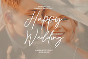 Damione - Handwritten Signature, a Handwritten Font by tebaltipislab (Thumbnail 2 of 10)