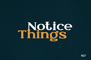 N Derex Display Font, a Serif Font by Creathift (Thumbnail 4 of 9)