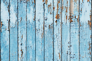 Old blue wood plank background. Clos