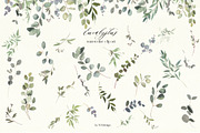 Watercolor Floral Bundle 90 in1, an Animal Illustration by whiteheartdesign (Thumbnail 22 of 50)