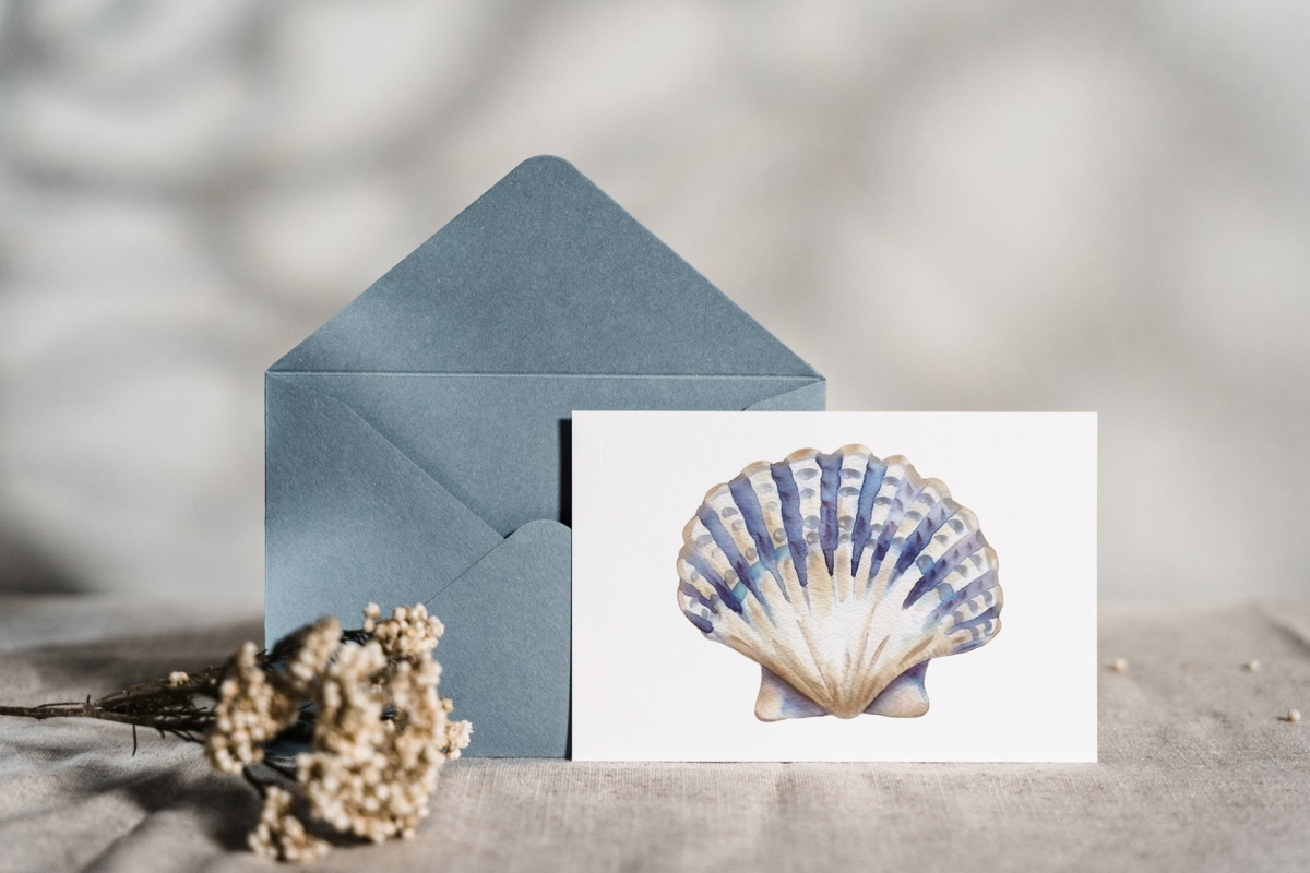 Seashell Clip Art Seashell Clipart, a Decorative Illustration by Paper Artsthetics (Photo 3 of 4)