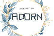 Adorn Summer Font, a Script Font by DmDesignsStoreArt (Thumbnail 1 of 2)
