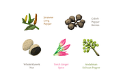 Southeast Asian Spices, a Food Illustration by Deemak Daksina (Thumbnail 3 of 3)