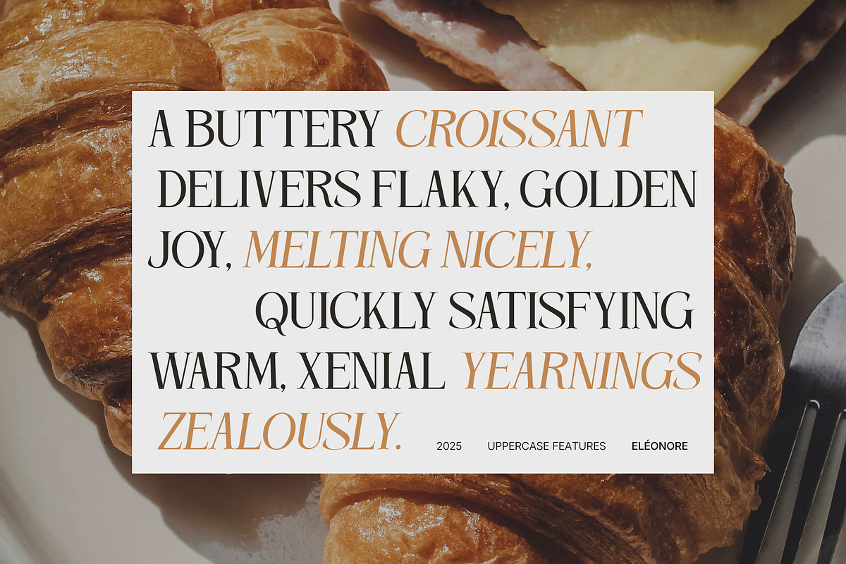 Eléonore – Serif Font for Branding, a Serif Font by Inviline.co (Photo 5 of 15)