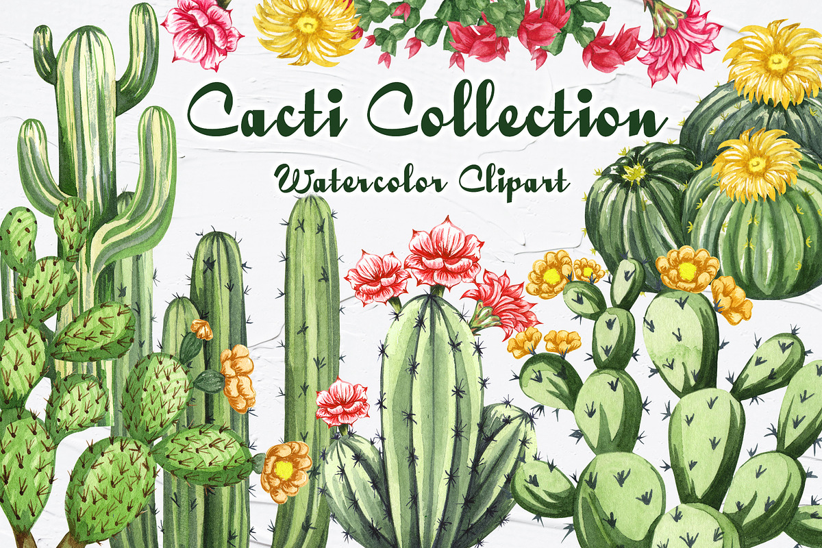 Cactus Watercolor Clipart. Succulent, a Decorative Illustration by BarvArt (Photo 1 of 5)