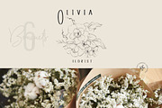 Olivia, an Object Graphic by Blossom (Thumbnail 4 of 6)
