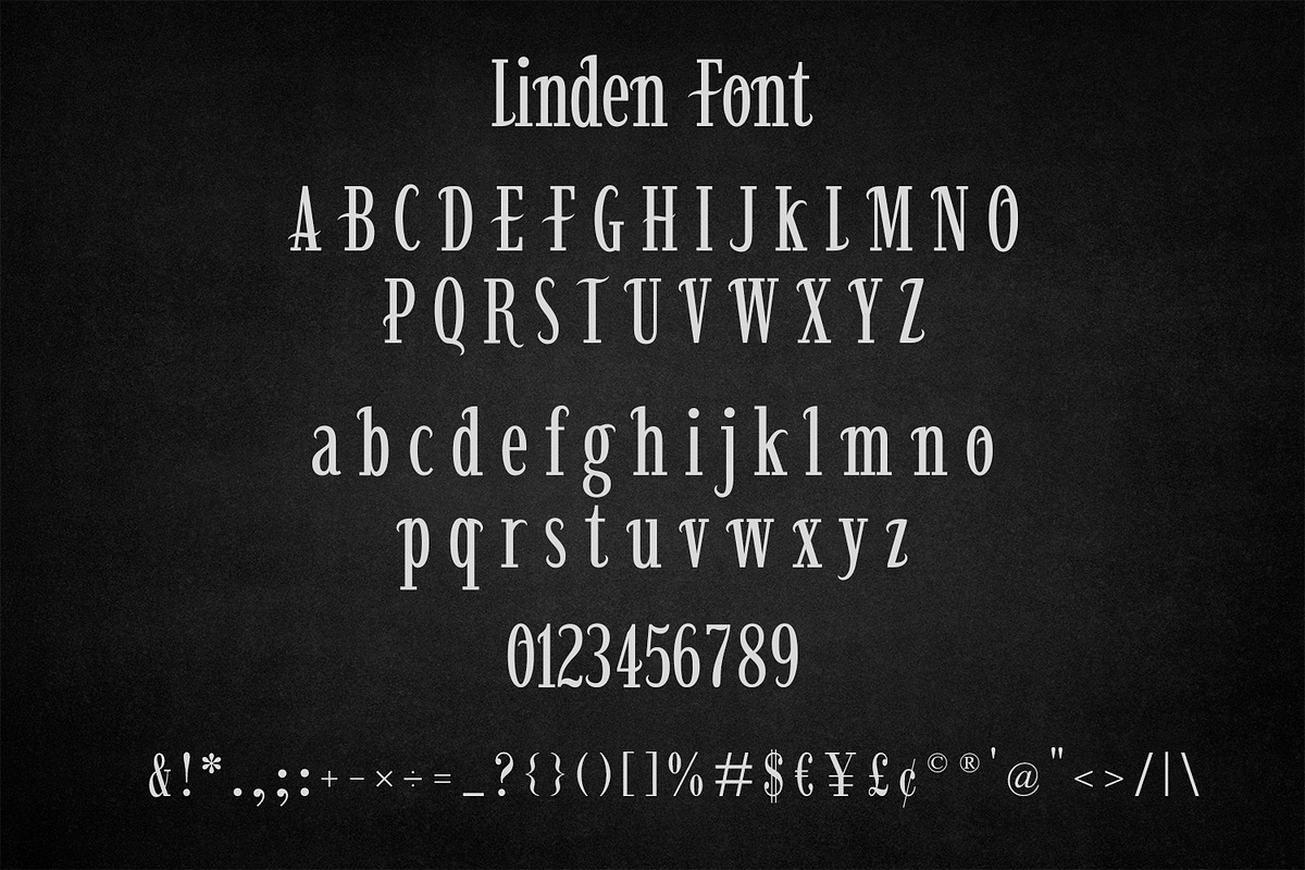 Linden - Elegant Decorative Serif, a Serif Font by OWPictures (Photo 9 of 9)