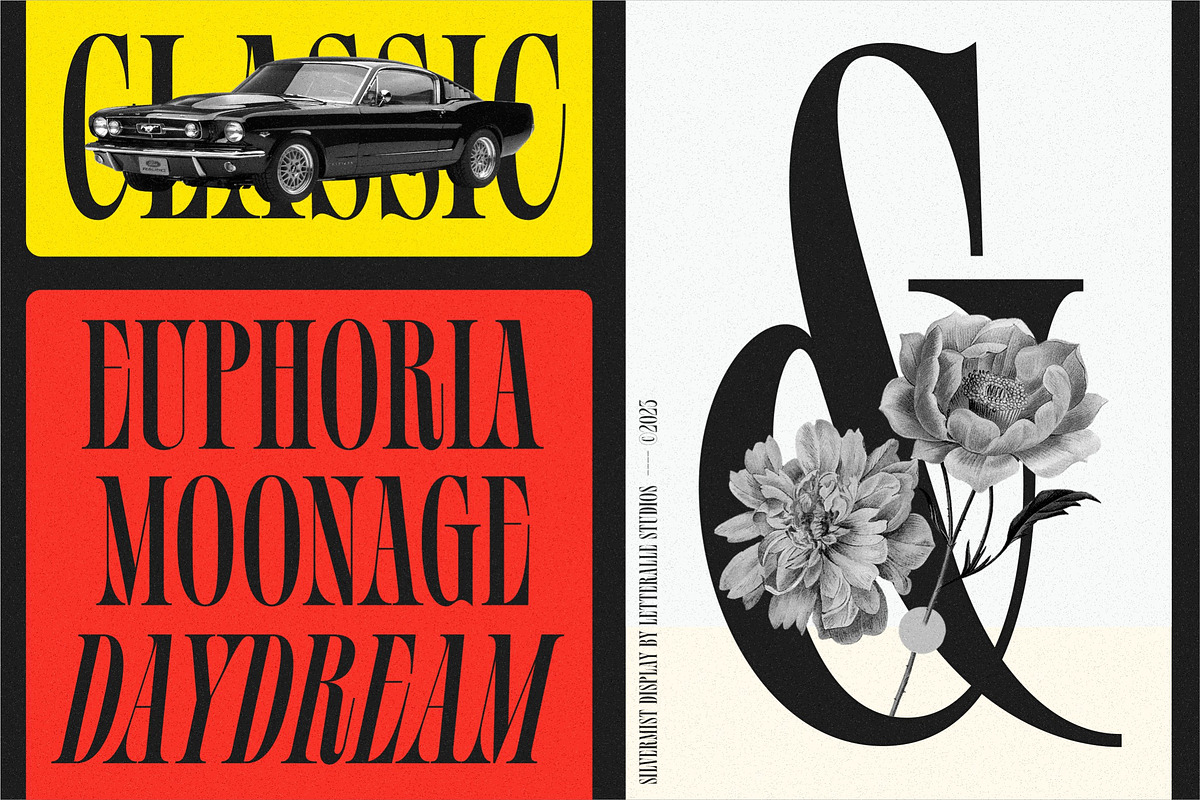 Silvermist Display Serif, a Serif Font by Letteralle Studios (Photo 2 of 9)