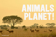 Gebila - Thumbnails Font, a Sans Serif Font by Flawless And Co (Thumbnail 5 of 10)