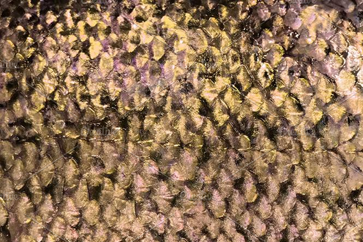 Silent Waters Rose Gold & Iridescent, a Pattern Graphic by Blixa 6 Studios (Photo 2 of 5)